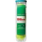 Wilson WRT137400 STARTER PLAY 4 TNS BALL * бейсбол теннис мяч 