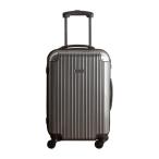  Michel Klein Carry кейс серебряный 05-5172
