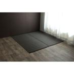 イケヒコ・コーポレーション 1090031061302 洗える PPカーペット バルカンブラウン 江戸間8畳 メーカー直送