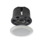 MASSIVE CL-H258II слоновая кость 100mm coaxial 2WAY автобус зеркальный форма динамик 