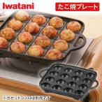  Iwatani CB-A-TKP... plate 