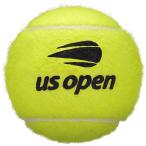  Wilson WRT1000J US OPEN EXTRA DUTY 2 ili бейсбол теннис мяч 