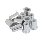 SK11 ナットリベット 10入 6M-25