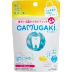 CAMUGAKI( cam gaki) CAMUGAKI ( cam gaki) зуб ... планшет 20 шарик входить порошок лимон мята 