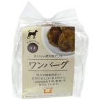 e-pi-es(A*P*S) one балка g120g