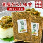 送料無料 青唐がらし味噌 （250ｇ） 