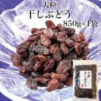大粒 干しぶどう 850g 干し葡萄 干しブドウ レーズン ドライフルーツ ドライぶどう 大容量 業務用 ドライフルーツぶどう 乾燥ぶどう ナガトク