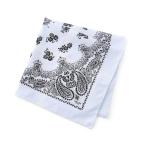  Prada PRADA шарф PRINTED BATISTE SCARF принт bati -тактный шарф b люмен z
