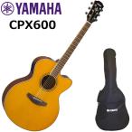 YAMAHA ヤマハ　CPX600/VT エレアコ