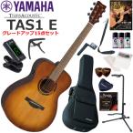 YAMAHA Yamaha TAS-1 E/SDB trance акустическая гитара начинающий комплект содержание комплекта . комплектация выше сделал 15 позиций комплект 