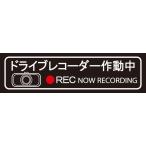 ドライブレコーダー 白 大 Z-3458 (4986734095689)