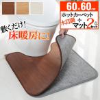 トイレマット ホットカーペット 木目調ホットトイレマット 〔コージー〕 60x60cm 本体+カバー 日本製