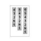 ( серебряный ) для мотоцикла коробка передач образец стикер образец 1 вертикальный 4 угол A модель N чёрный 