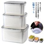 保存容器 漏れ防止 冷蔵庫 収納ボックス 野菜ストッカー ザル付き 水切り フードストッカー 野菜保存 3点セット 食品保存容器 冷凍庫 耐熱性 冷蔵