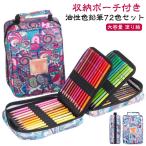 色鉛筆 漫画 色鉛筆セット 油性色鉛筆 油性 収納ポーチ付き 美術 セット 大容量 塗り絵 イラスト 色鉛筆 お絵描き デッサン ぬり絵 大人の塗り絵