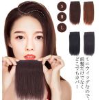 部分ウィッグ ポイントウィッグ ミ