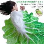  одеяло baby новорожденный китайская капуста type покрывало 85×85 100×100 120×120cm младенец овощи костюм осень-зима симпатичный ...