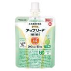 ショッピングメロン テルミール アップリード mini メロン風味 UL-M0520CP 12個 小分けセット　ネコポス発送