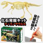 Yahoo! Yahoo!ショッピング(ヤフー ショッピング)化石発掘キット ティラノサウルス 化石発掘体験 恐竜 化石 骨 掘り出し 組み立て おもちゃ 実験キット 夏休み プレゼント ギフト 小学生 男の子 子供 キッズ
