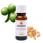 m-doen рукоятка slMood Enhancelsinaji- Blend масло l10ml