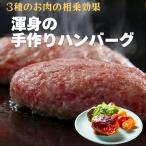 自家製ハンバーグ(冷凍ハンバーグ) 