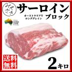 肉 焼肉 牛肉 赤身ブロック 塊 ステ