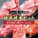 ギフト プレゼント 肉 牛肉 和牛 A5等級 黒毛和牛 特選5種盛り 焼肉セット 1kg 焼肉 BBQ バーベキュー ギフト対応可