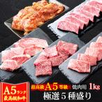 お中元 御中元 ギフト プレゼント 肉 牛肉 和牛 A5等級 黒毛和牛 極選5種盛り 焼肉セット 1kg 焼肉 BBQ バーベキュー ギフト対応可