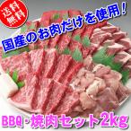 国産 肉 バーベキューセット 焼き肉 焼肉（BBQ バーべキュー）2kg 約８〜１０人前 牛肉 豚肉 鶏肉 送料無料 (沖縄・北海道は別途送料要)