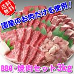 国産 肉 バーベキューセット BBQ 焼き肉 焼肉 3kg(12〜15人前)送料無料 牛肉 豚肉 鶏肉 肉屋のこだわりセット 金龍焼肉のタレ3本サービス