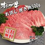 送料無料 和牛 オリーブ牛 おためし お試し 肉、バーベキューセット 500g 国産 牛 牛肉 焼肉 焼き肉 BBQ