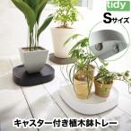 tidy プランタブル S キャスター付 植木鉢トレー 日本製 鉢皿 観葉植物 トレイ 受け皿 移動 可動 園芸 プランター 耐荷重40kg ガーデニング インテリア おしゃれ