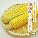  кукуруза сырой тоже еда .... кукуруза Кагосима префектура 4kg 10~14шт.@ Gold Rush утро .. свежий сельское хозяйство дом прямая поставка .. овощи салат BBQ
