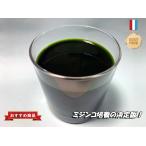 ミジンコ培養液 500ml 【メダカの友オリジナル 業務用】 保存パック有無を選択して下さい。