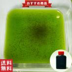 ショッピング金魚 【ミジンコ繁殖セット】タマミジンコ 0.5g+スーパー生クロレラ 30ml+繁殖方法説明書付き