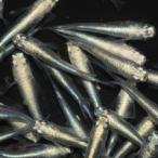 極龍めだかの稚魚・10匹＋α補償付...