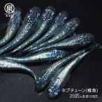 ネプチューン稚魚20匹＋おまけ補償...