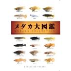 メダカ大図鑑　めだかの館 メダカ 書籍 送料無料