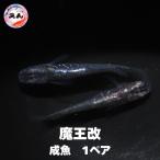 商品画像1