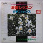【送料無料】cd10997/絵と歌詞が出る音多カラオケ演歌レッスングラフィック257/中古【CD】