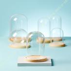透明ガラスドーム ジュエリー展示 小さい 卓上 円柱 コレクターアイテム収納 防塵 オフィス インテリア 見せる収納 デスク搭載用 木製台座 永生花 アート作品