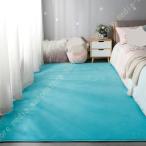 カーペット ラグ ラグマット 洗える ホットカーペットカバー 滑り止め 床暖房対応カーペット 抗菌防臭 防ダニ オールシーズン 無地 ホットカーペット対応 抗菌