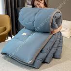 . ватное одеяло зима двойной .. futon лето зима двоякое применение зимний . -слойный 4kg.. повышение температуры .. futon 3kg.... пыль .. трудно зимний постельные принадлежности объем вдоволь теплый 