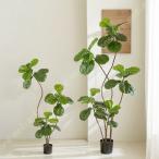  искусственная зелень человеческий труд декоративное растение большой растение в горшке . починка не необходимо .. нет офис интерьер оборудование орнамент Cafe магазинный living bed салон подарок переезд праздник .