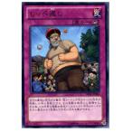 ¡ØÃæ¸Å¨Ǽ¡Ù{¥×¥ì¥¤ÍÑ}{TCG} Í·µº²¦ ABYR-JP080R ¤·¤Ã¤ÚÊÖ¤·