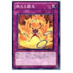 ¡ØÃæ¸Å¨Ǽ¡Ù{¥×¥ì¥¤ÍÑ}{TCG} Í·µº²¦ PHSW-JP064N dz¤¨¤ëÆ®»Ö