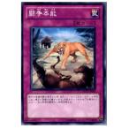『中古即納』{プレイ用}{TCG} 遊戯王 DREV-JP064N 闘争本能