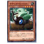 ¡ØÃæ¸Å¨Ǽ¡Ù{TCG} Í·µº²¦ DTC1-JP057N ¥Ê¥Á¥å¥ë¡¦¥Ó¡¼¥È¥ë