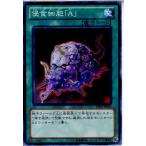 ¡ØÃæ¸Å¨Ǽ¡Ù{TCG} Í·µº²¦ DE01-JP060N ¿»¿©ºÙ˦¡ÖA¡×