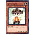 ¡ØÃæ¸Å¨Ǽ¡Ù{¥×¥ì¥¤ÍÑ}{TCG} Í·µº²¦ DP12-JP010N ¥Þ¥Ä¥Ü¥Ã¥¯¥ë